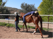 Vincula2: Terapia con caballos. De Verónica Aracil.